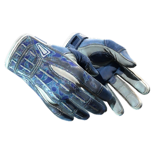 ★ Sport Gloves | Amphibious (Battle-Scarred)