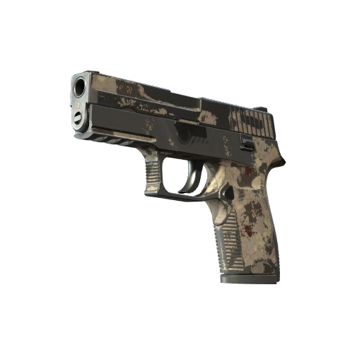 P250 | Black & Tan (Battle-Scarred)