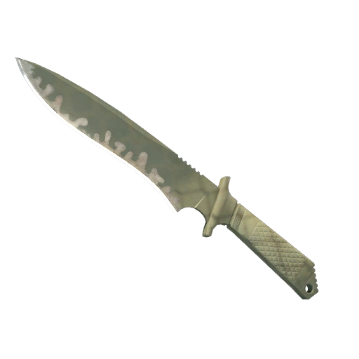 ★ StatTrak™ Classic Knife | Safari Mesh (Well-Worn)