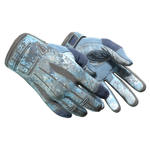 ★ Sport Gloves | Frosty (Well-Worn)