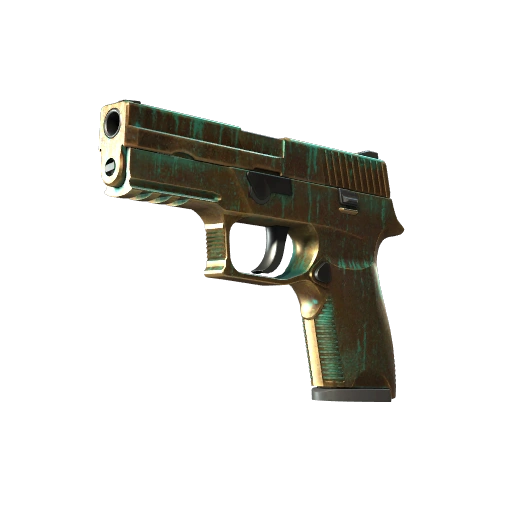 StatTrak™ P250 | 버디그리 (꽤 닳은)