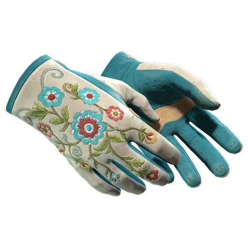 ★ Driver Gloves | Garden (Well-Worn)