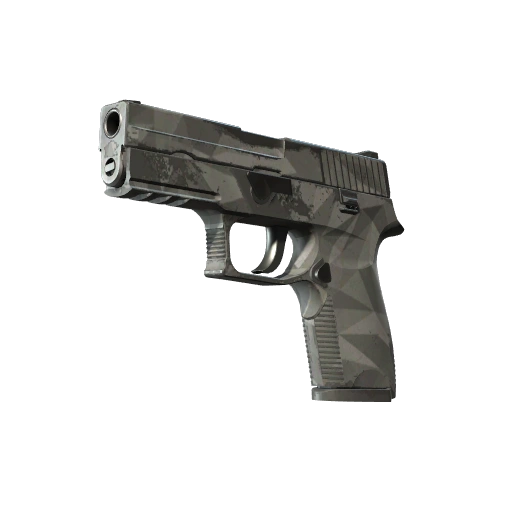 Hatıra P250 | Façetalar (Görevde Kullanılmış)