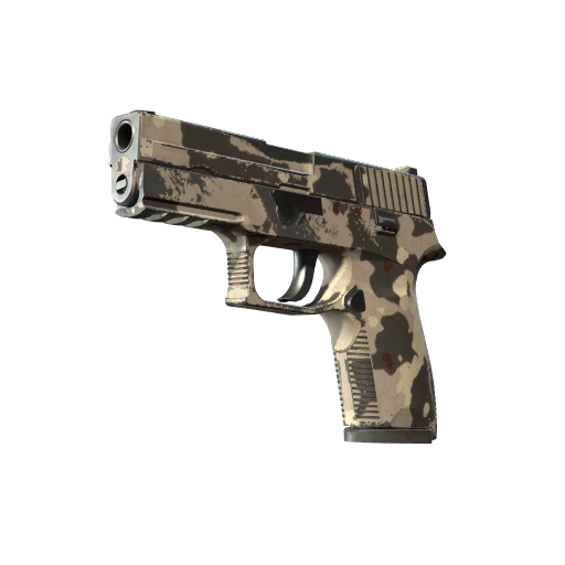P250 | Black & Tan (Field-Tested)