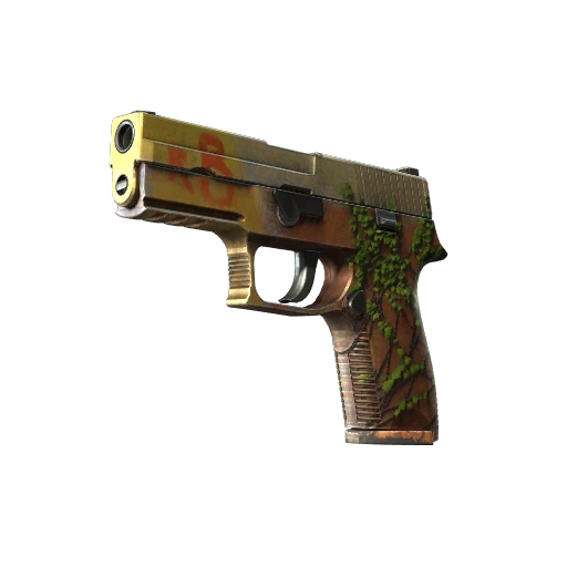 P250 | Inferno (Well-Worn)