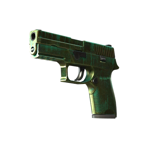 P250 | Patina (Reissussa rähjääntynyt)