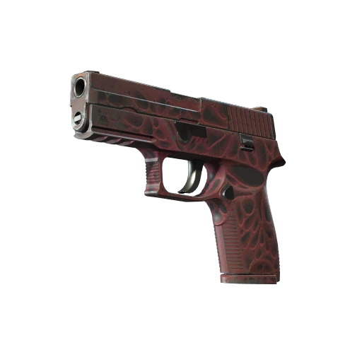 StatTrak™ P250 | Contaminant (Field-Tested)