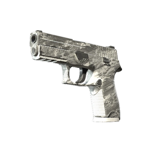P250 | Tipi (Görevde Kullanılmış)