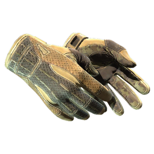 ★ Sport Gloves | Arid (Well-Worn)