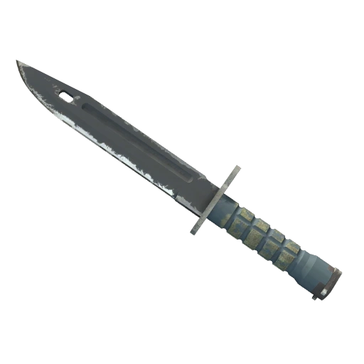 ★ StatTrak™ Bayonet | Night (Well-Worn)