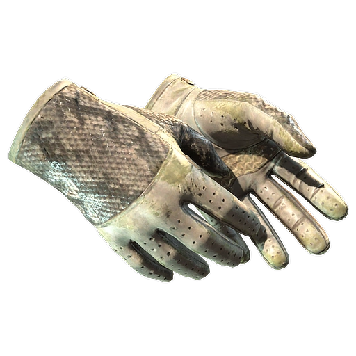 ★ Driver Gloves | King Snake (Battle-Scarred)