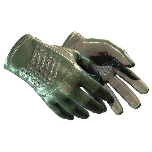 ★ Driver Gloves | Racing Green (Well-Worn)