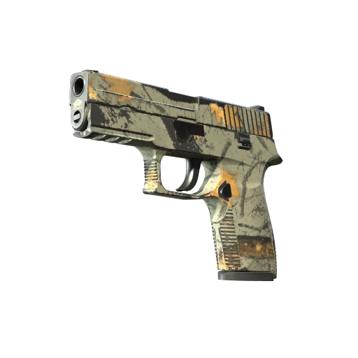 P250 | Modern Hunter (Well-Worn)