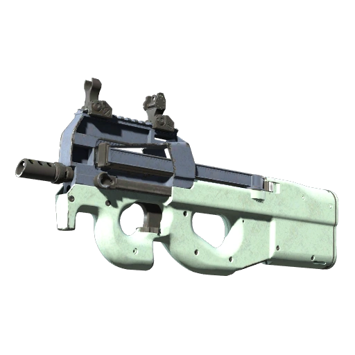 P90 | Storm (Versleten)