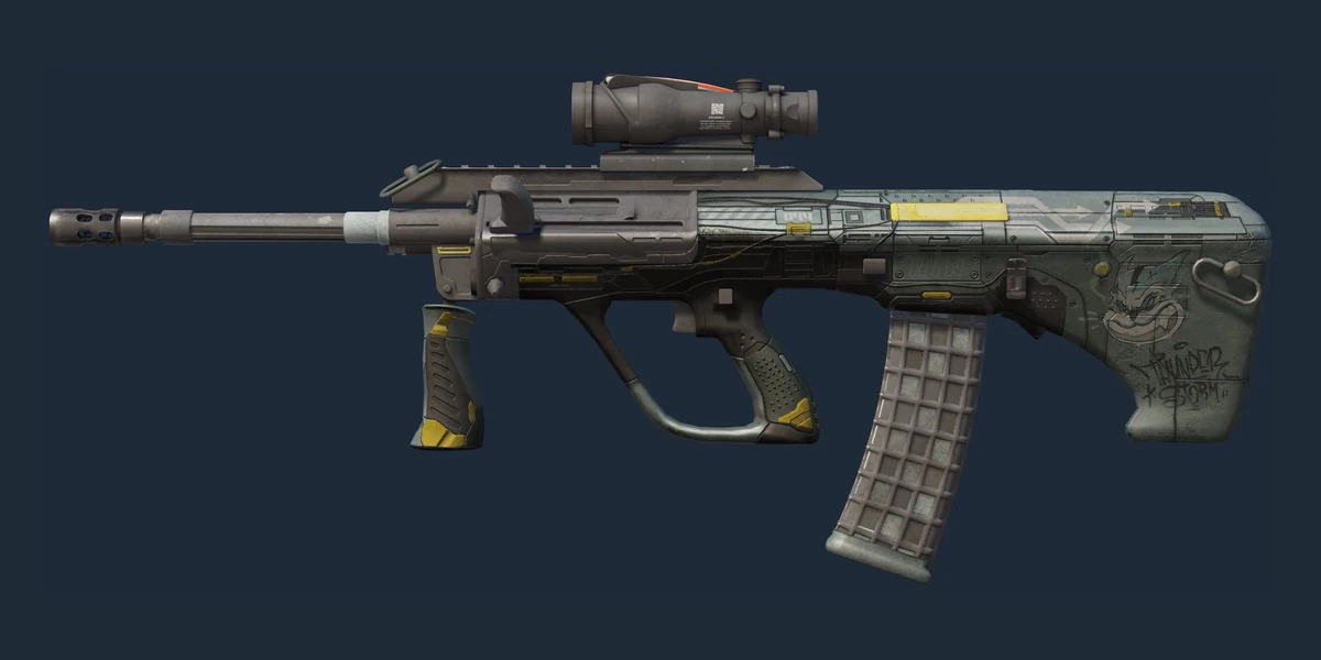 Souvenir AUG | Tom Cat (Battle-Scarred) preview