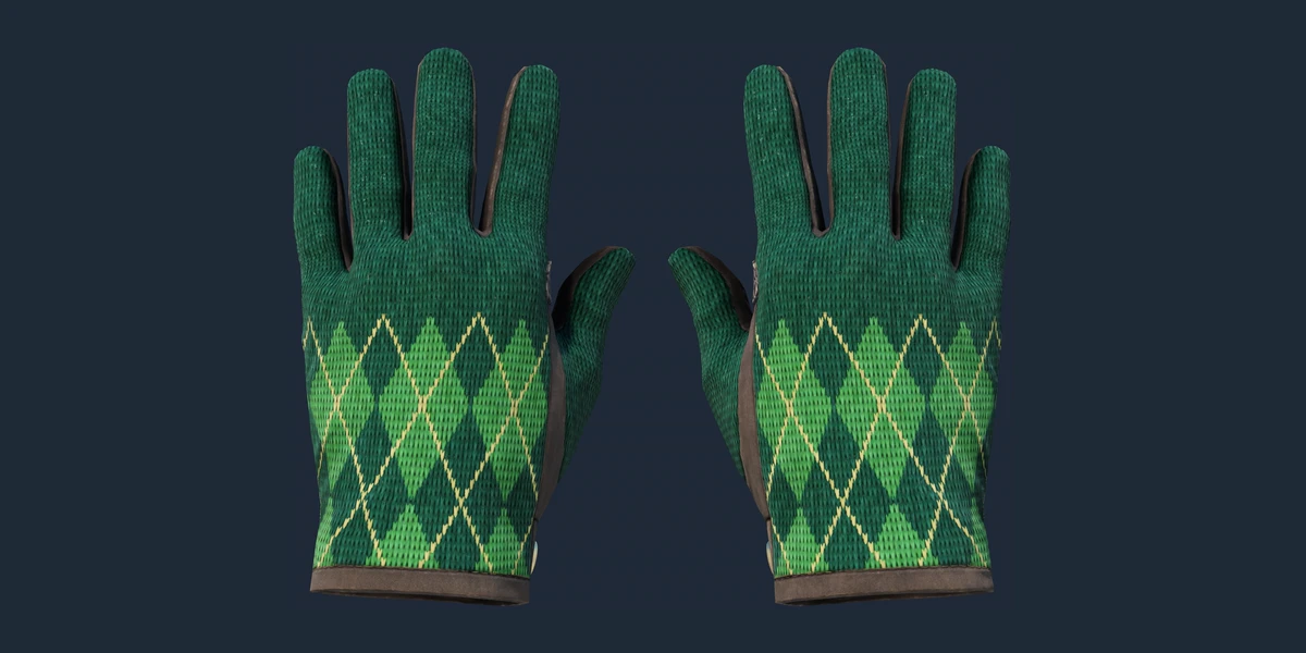 ★ Driver Gloves | Hand Sweaters (Factory New) preview