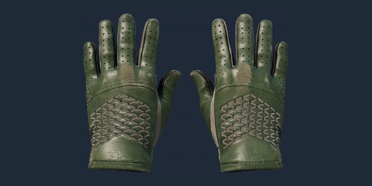 ★ Driver Gloves | Racing Green (Well-Worn) preview