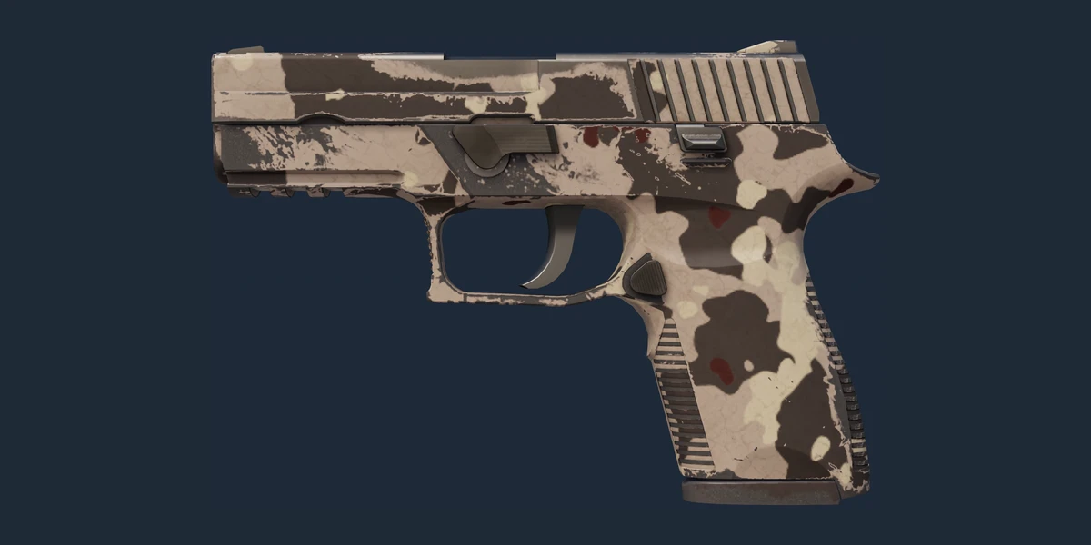 P250 | Black & Tan (Field-Tested) preview