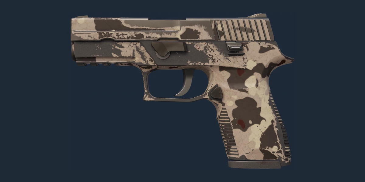 P250 | Black & Tan (Well-Worn) preview
