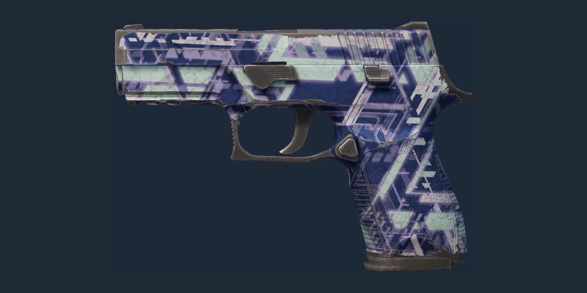 P250 | Digital Architect (Battle-Scarred) preview