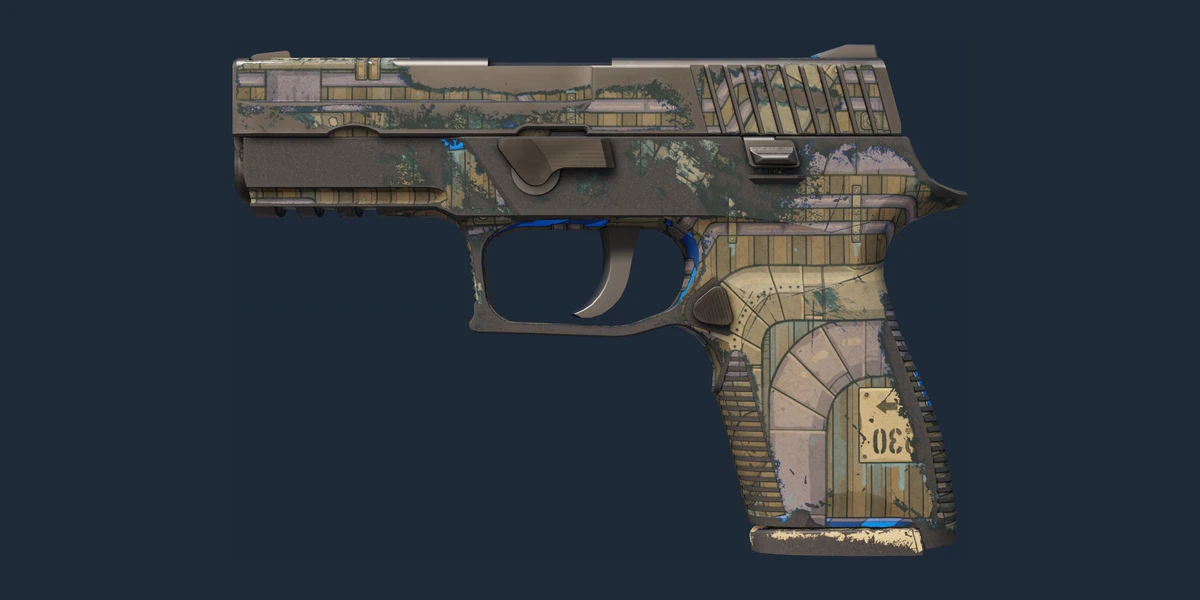 P250 | Exchanger (Well-Worn) preview