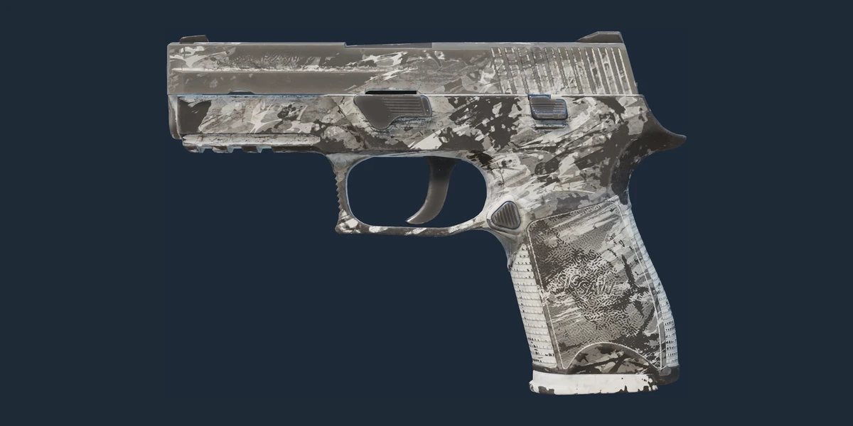 P250 | Sleet (Battle-Scarred) preview