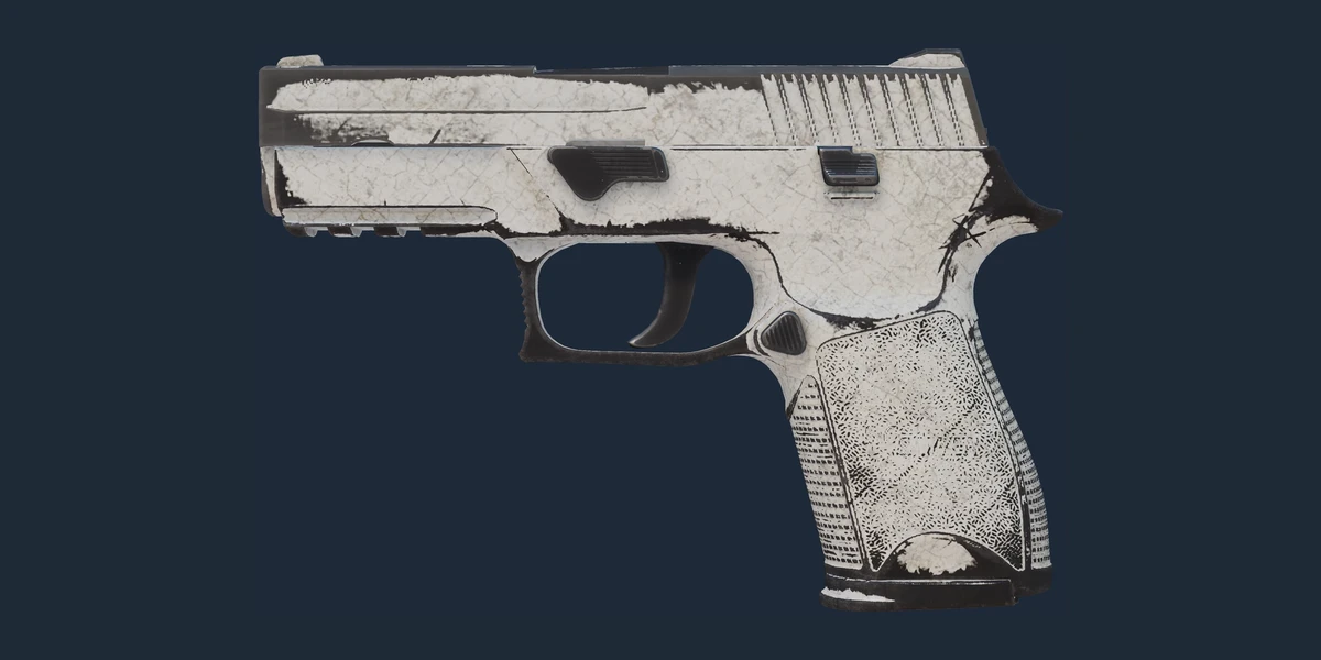 P250 | Whiteout (Battle-Scarred) preview