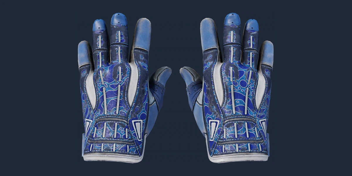 ★ Sport Gloves | Amphibious (Battle-Scarred) preview
