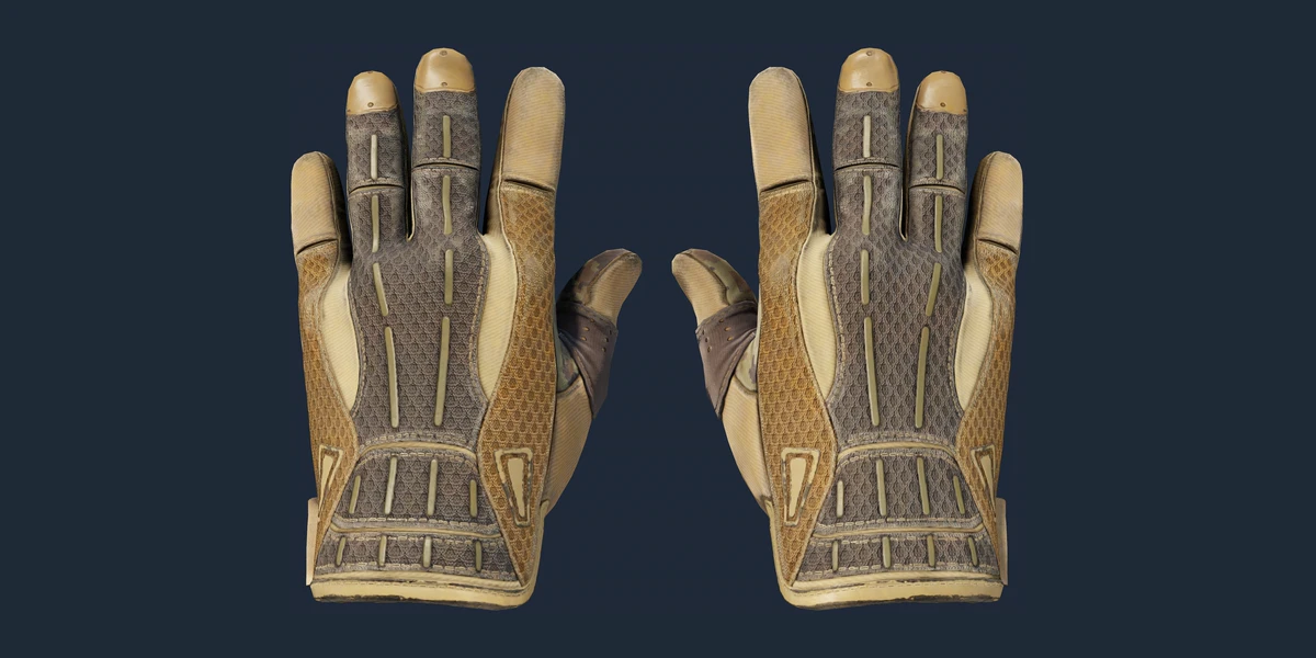 ★ Sport Gloves | Arid (Well-Worn) preview