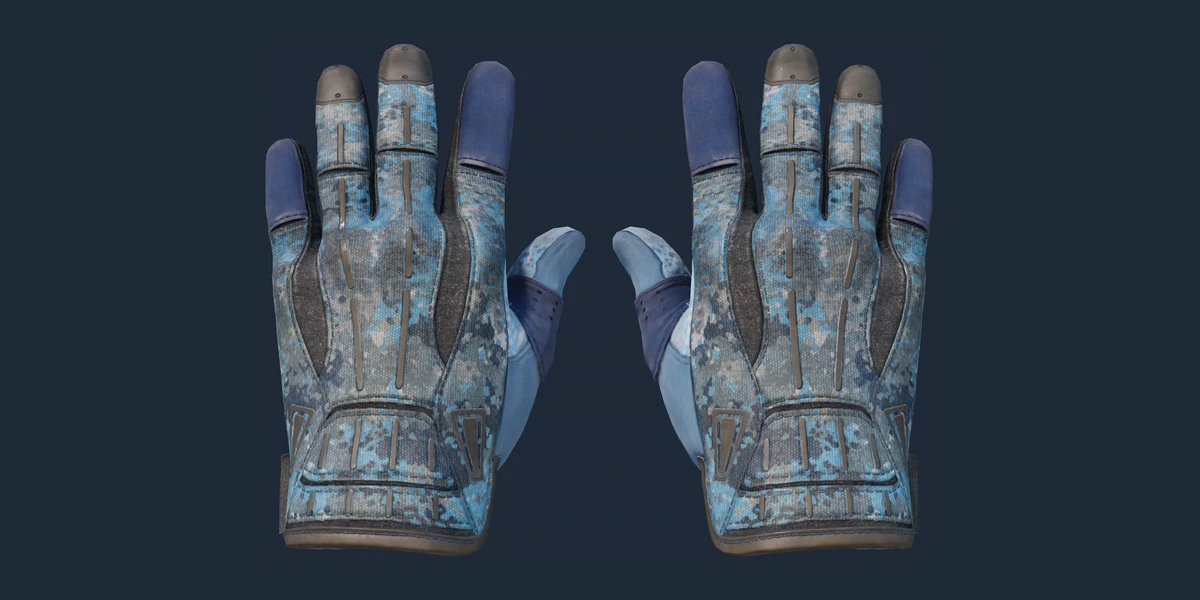 ★ Sport Gloves | Frosty (Well-Worn) preview