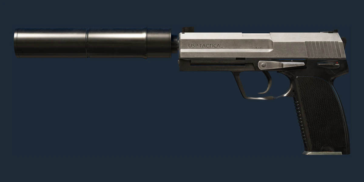 StatTrak™ USP-S | Stainless (Field-Tested) preview